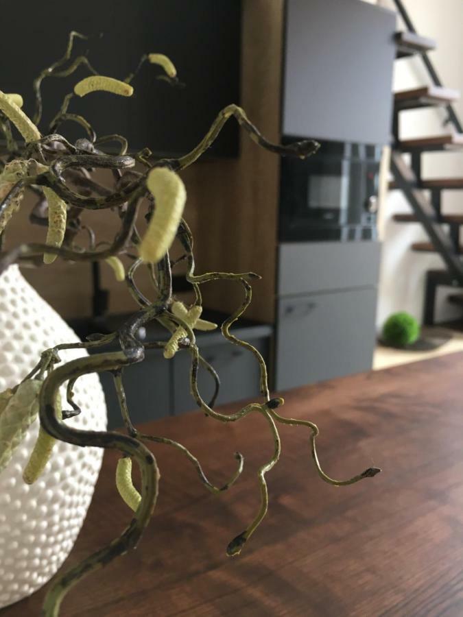 Goodmood Apartment เดเบรตเซน ภายนอก รูปภาพ